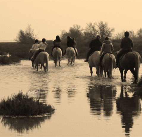 Promenade à cheval en Camargue avec les Cabanes de Cacharel