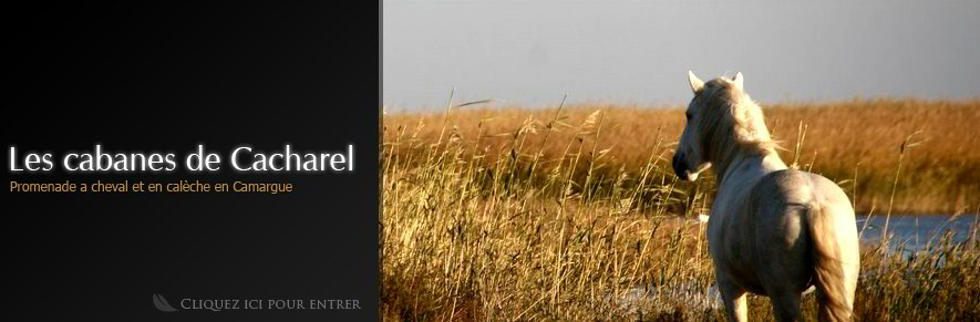 Promenade � cheval et en cal�che en Camargue