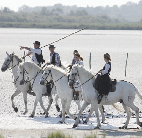 Ferrade en Camargue