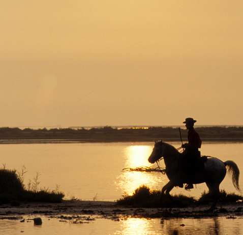 Promenade à cheval en Camargue avec les Cabanes de Cacharel